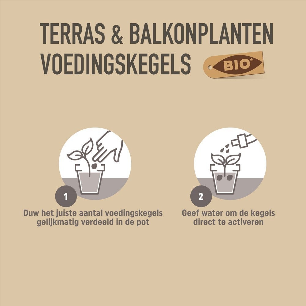 Pokon Bio Terras en Balkonplanten voeding Langwerkende kegels 40 stuks