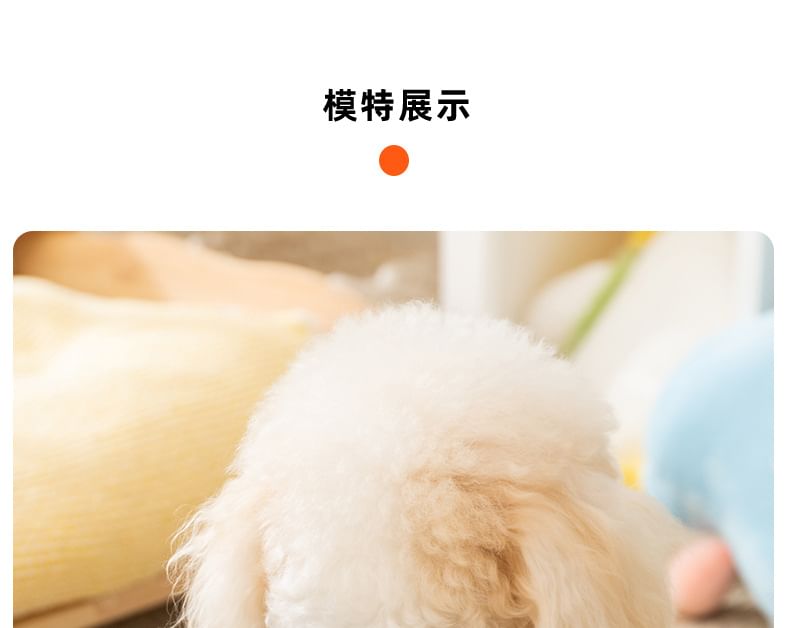 Cissilli - Gestreepte Chenille Pet Top met Applique en Kraag
