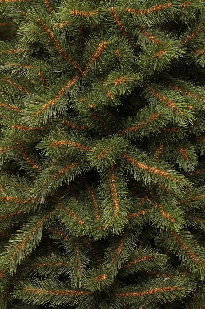 Black Box Kingston - Kunstkerstboom - Groen - 215 cm