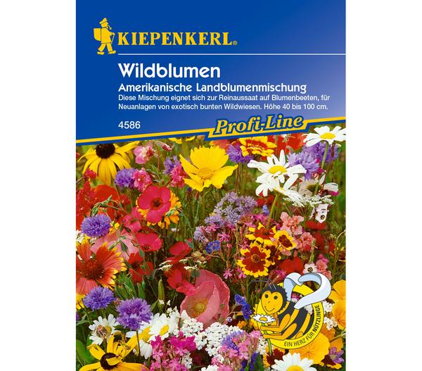 Kiepenkerl Saatgut Wildblumen Amerikanische