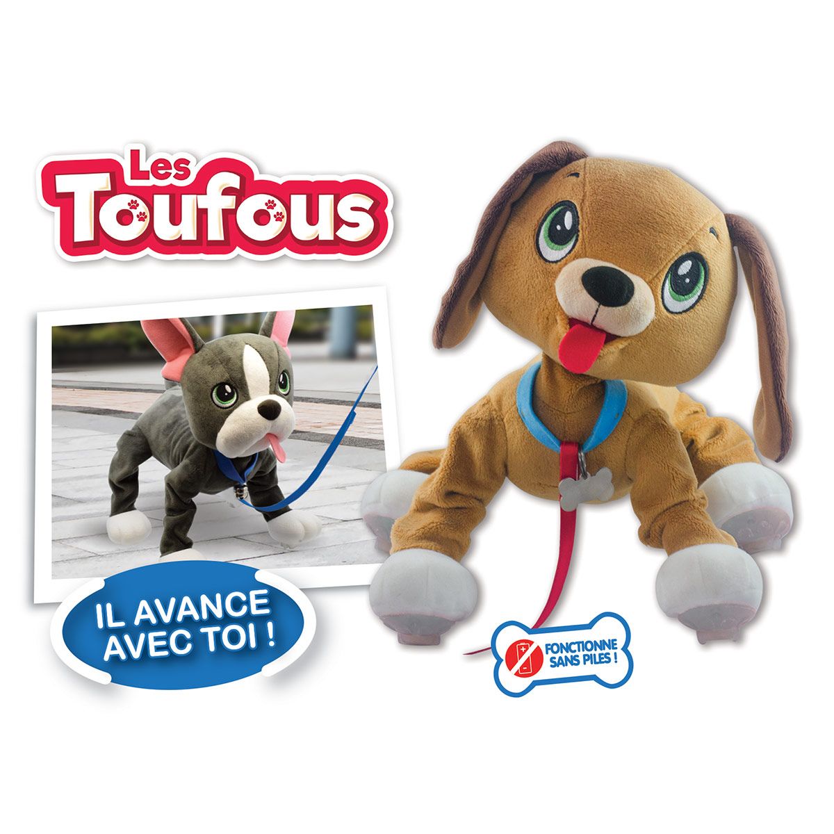 Les Toufous chiens