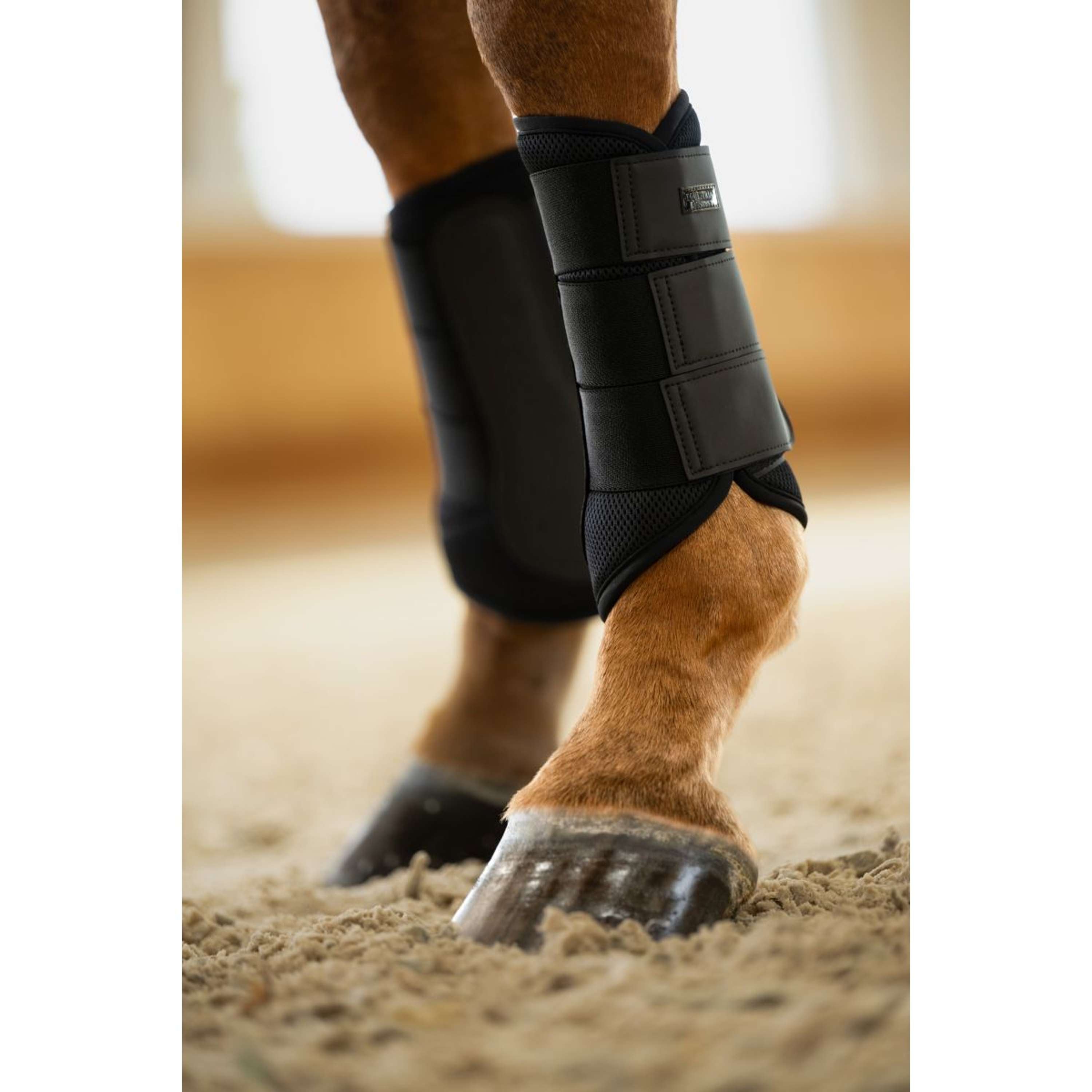 Equestrian Stockholm Beenbeschermers Classic Mesh All Black