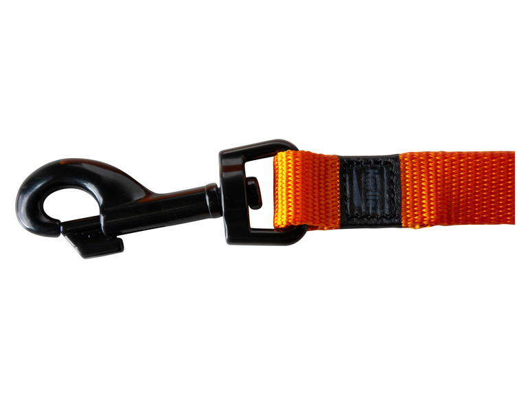 Halsband met lijn