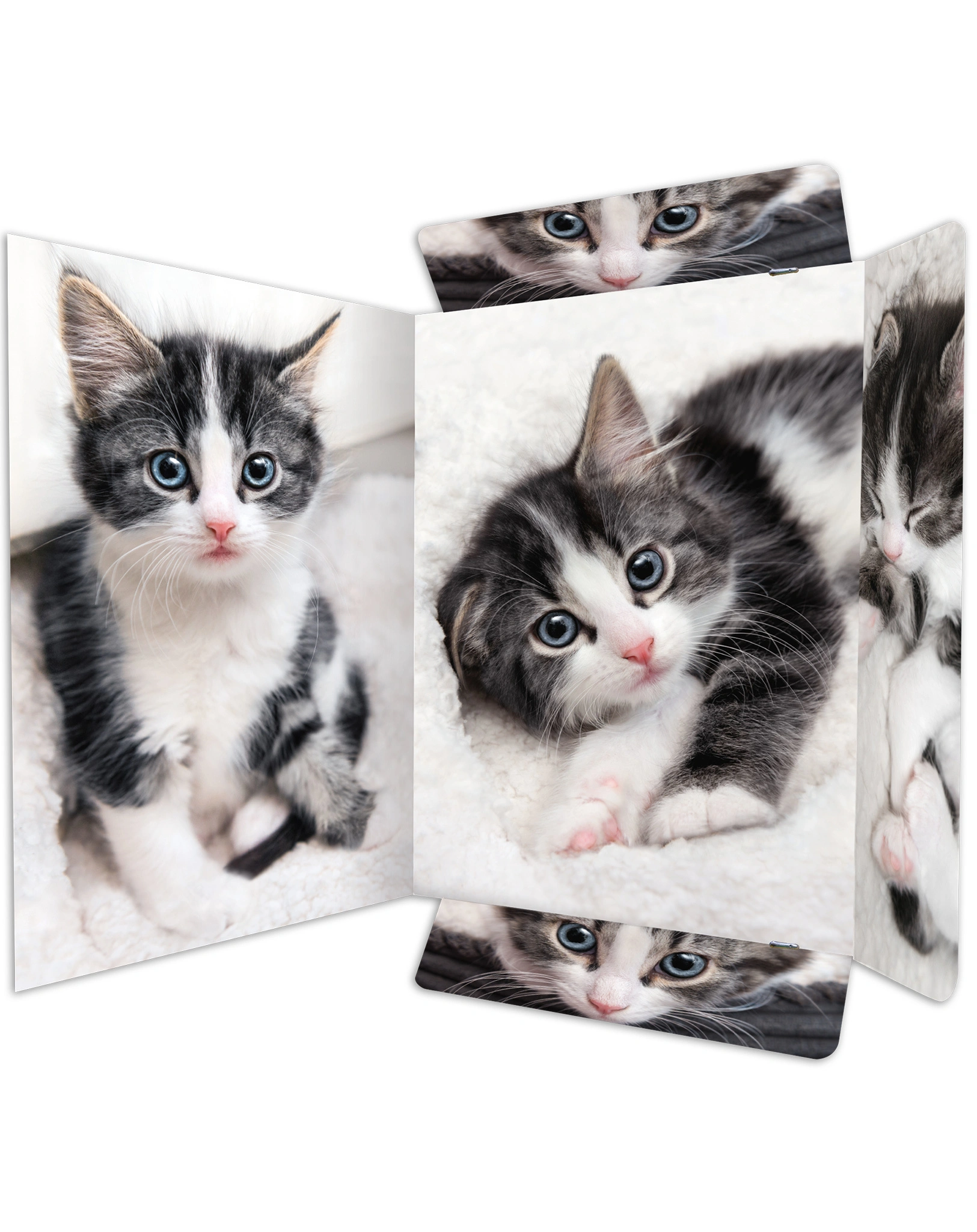 Zeichenmappe KATZE (31x44) A3