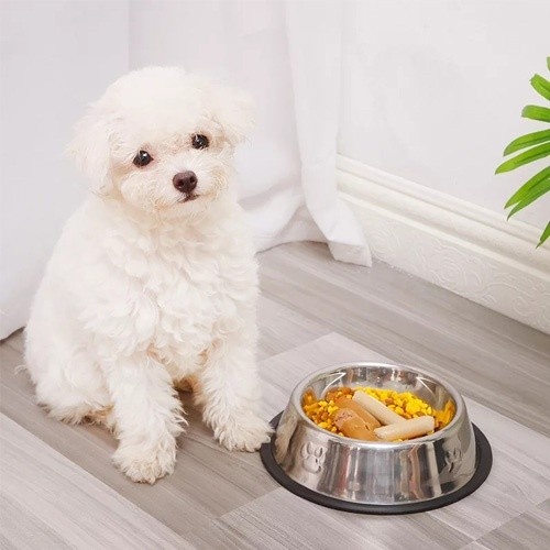Alimentador de aço para cães MyPetCare, cinza