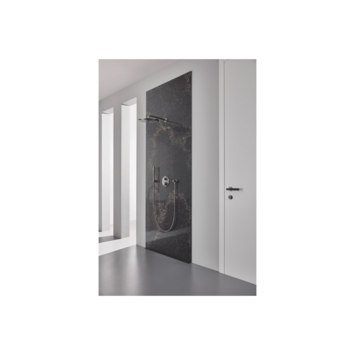 Grohe douchekop Rainshower Cosmopolitan hoofddouche plafond 1 stand ø 31 cm hard graphite