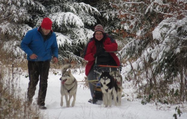Husky & Schlittenhunde  in Bad Herrenalb als Geschenkidee