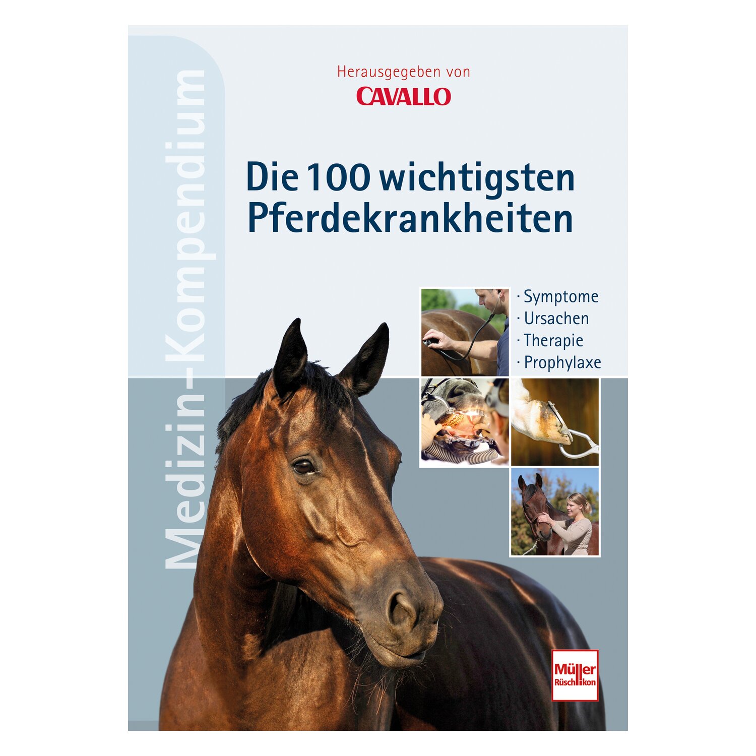 Hilfe fürs kranke Pferd - Die 100 wichtigsten Krankheiten von A bis Z I Symptome I Ursachen I Therapie I Vorbeugen