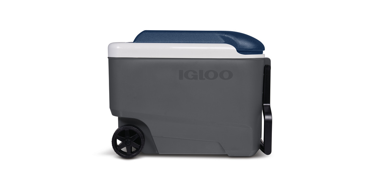 IglooMaxcold 40R, 38 liter koelbox  (Grijs)