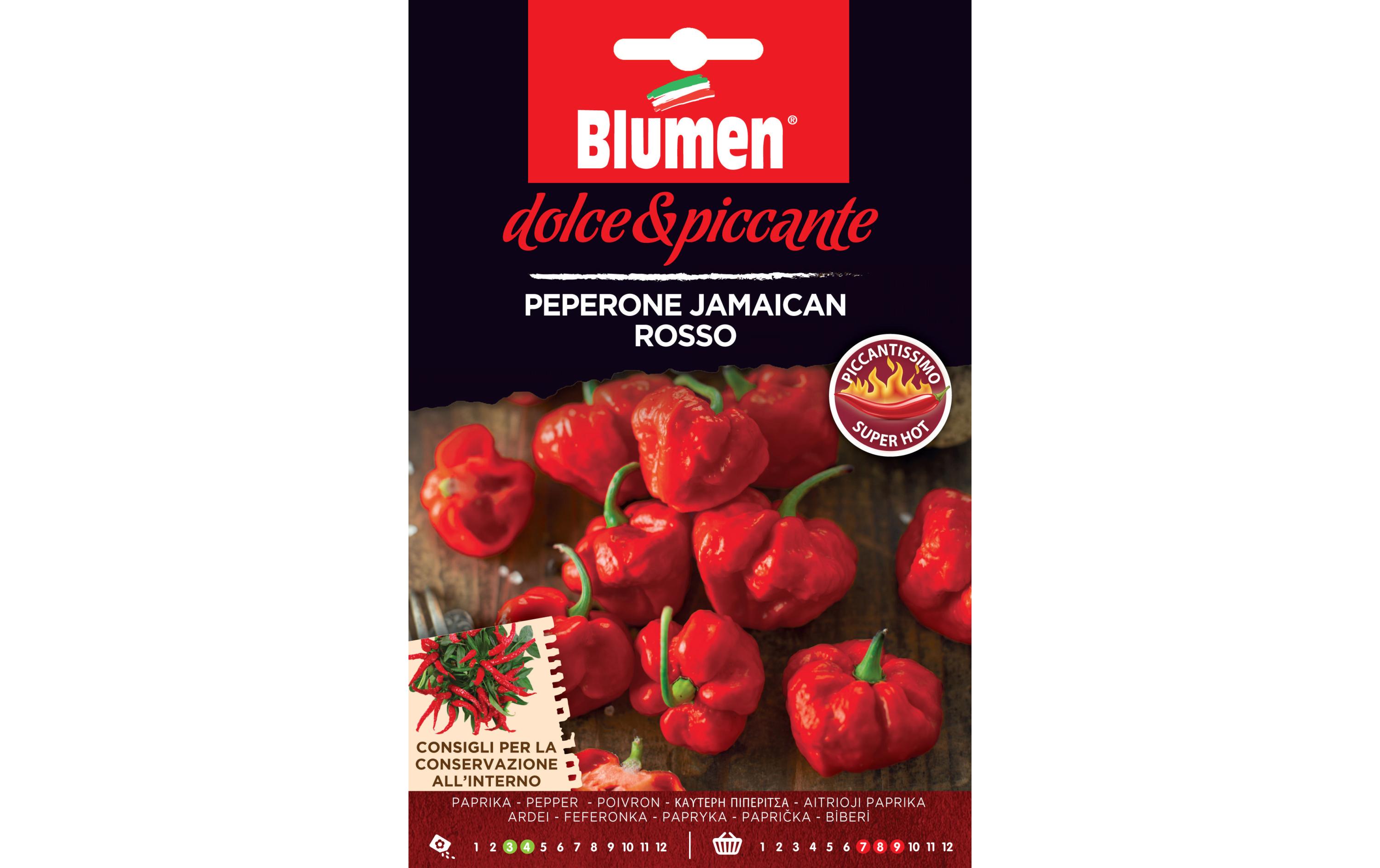 Samen Paprika Jamaicon rossoGemüsesamen
