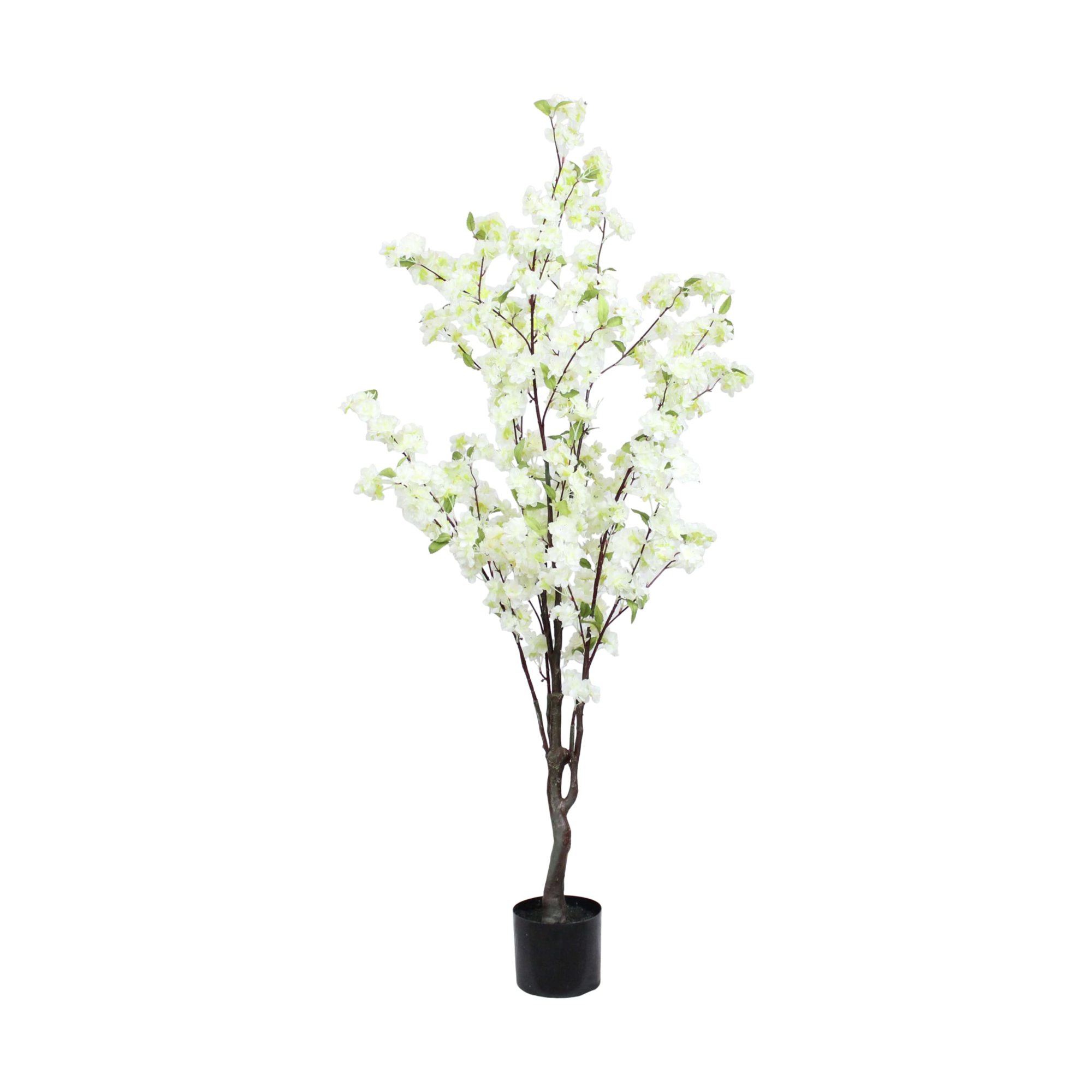 Blossom tree