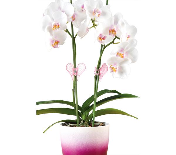 Scheurich Orchideen-Clip, 2 Stk.