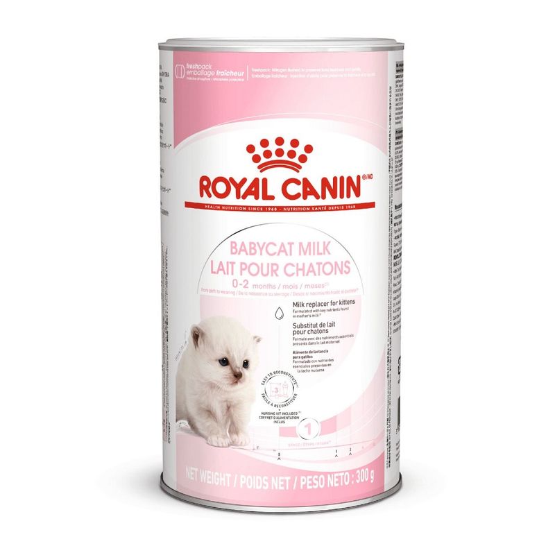 Lait maternisé Royal Canin Babycat à prix discount sur bitiba.fr