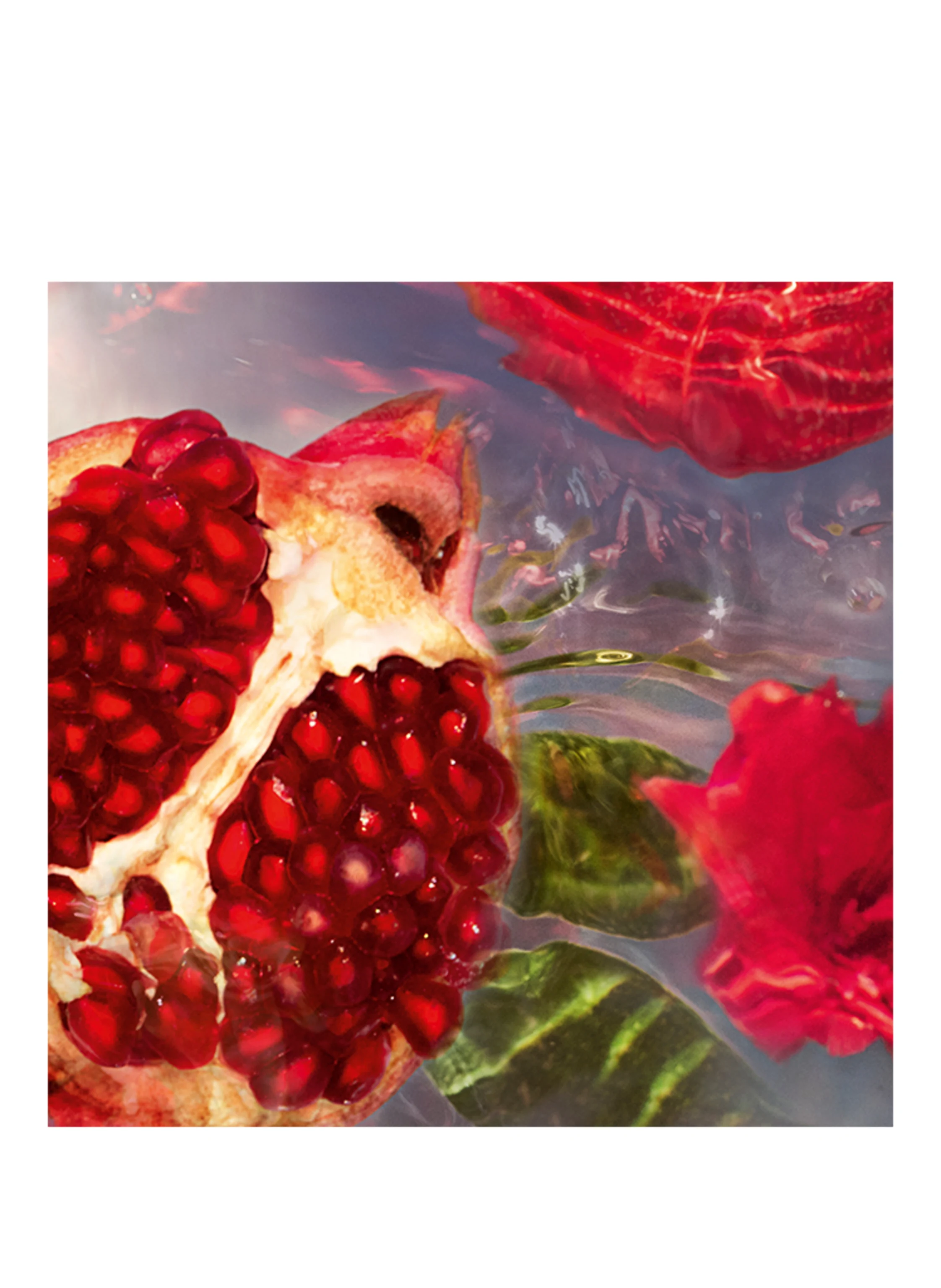 GUERLAIN AQUA ALLEGORIA GRANADA SALVIA