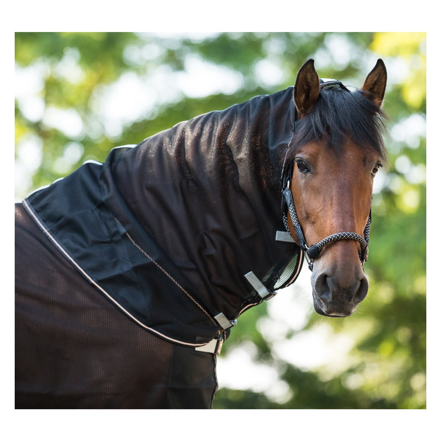 EQUINE MICROTEC Fliegenhalsteil MICRO MESH PROTECT  - black