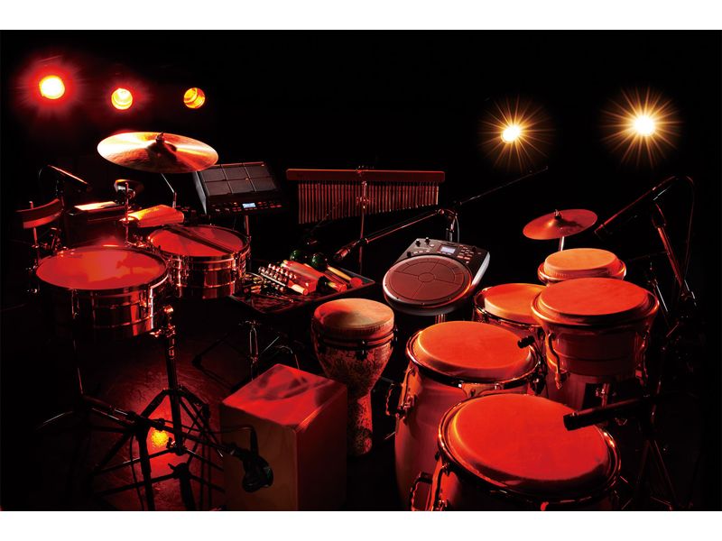 Roland HPD-20 Dynamische E-Percussion für Bühne und Studio