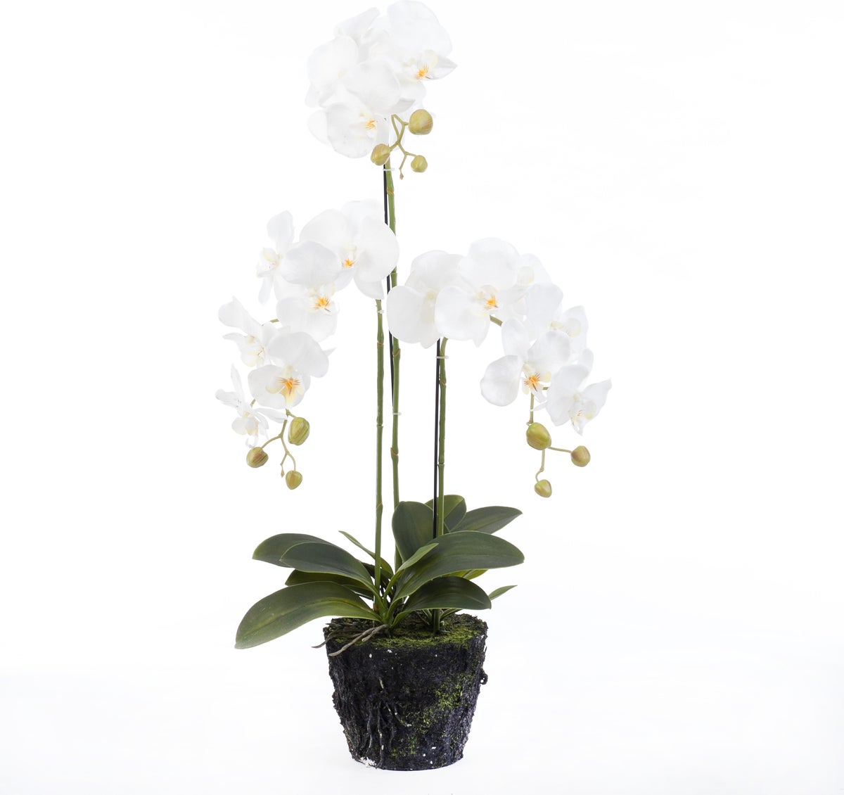 Intratuin kunstplant Vlinderorchidee 36 x 28 x 85 cm wit