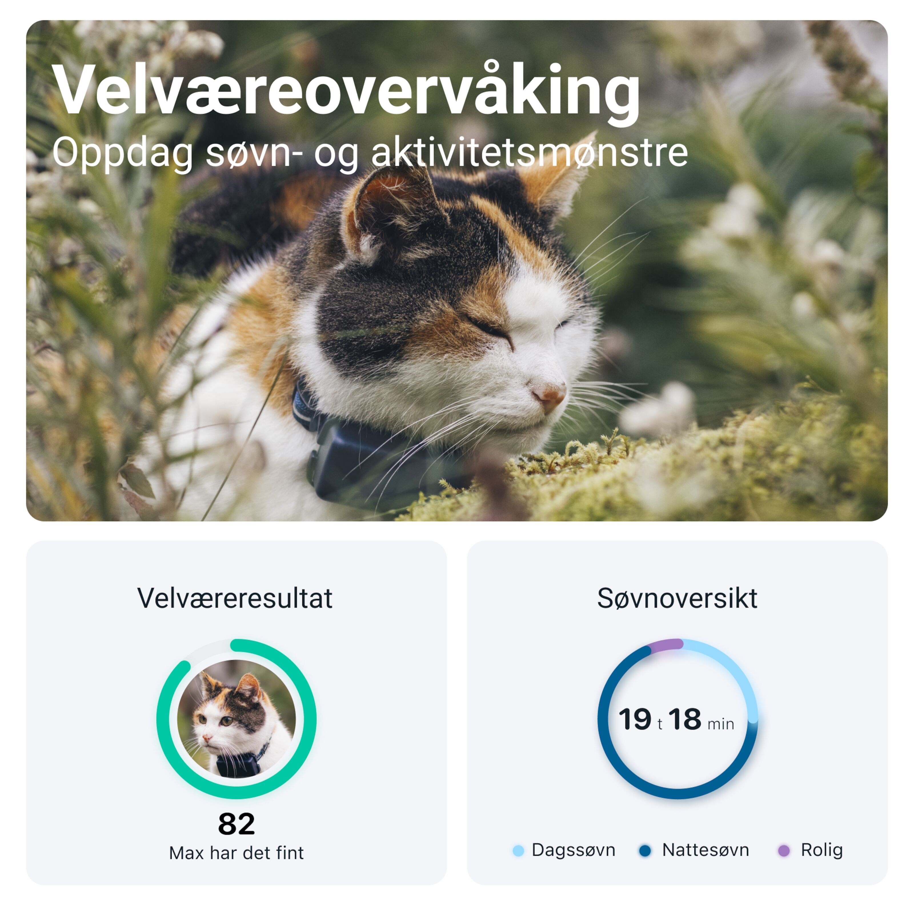 Tractive CAT Mini – GPS-tracker og helseovervåking for katt