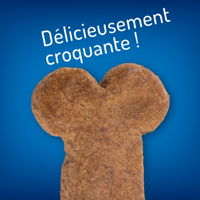 Hill's Hypoallergenic Treats - Friandises pour chien