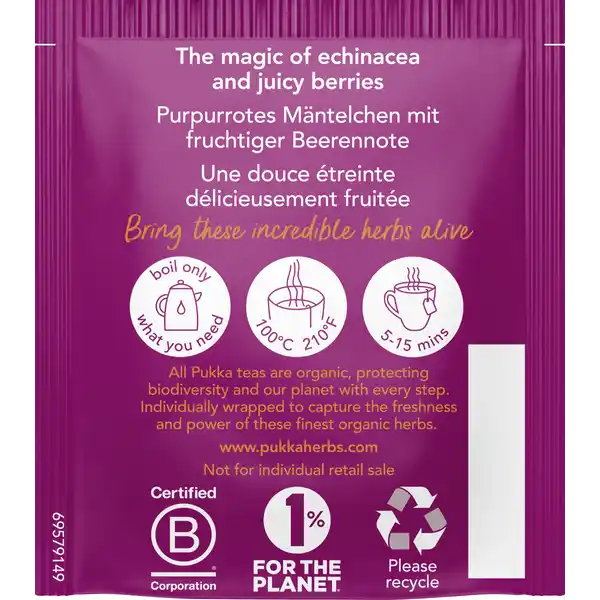 Bio-Früchte-Kräutertee Holunderbeere & Echinacea, mit Echinacea und dunkelroten Beeren