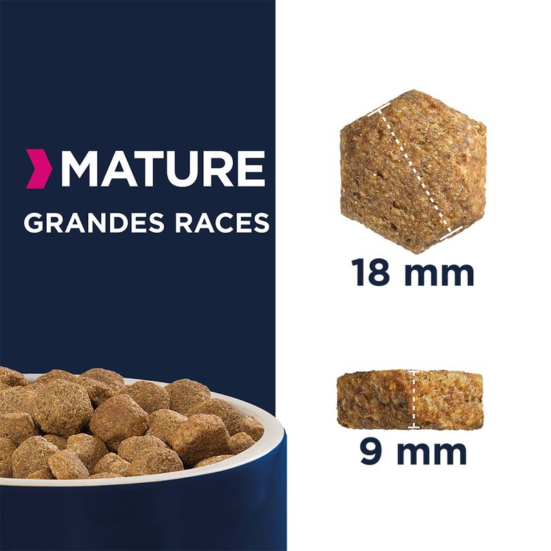 Eukanuba Thriving Mature Large Breed poulet à prix discount sur bitiba.fr