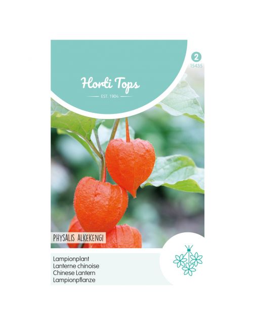 Hortitops Physalis - Lampionplant - Bloemenzaden - 250 g