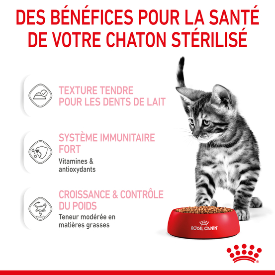 Boite KITTEN SAUCE 12X85G 1 plus 1 A-60%