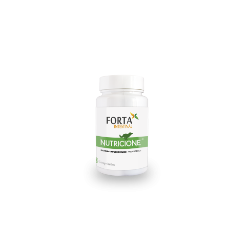 Vitaminas para cães: Nutrição para fortalecer o intestino