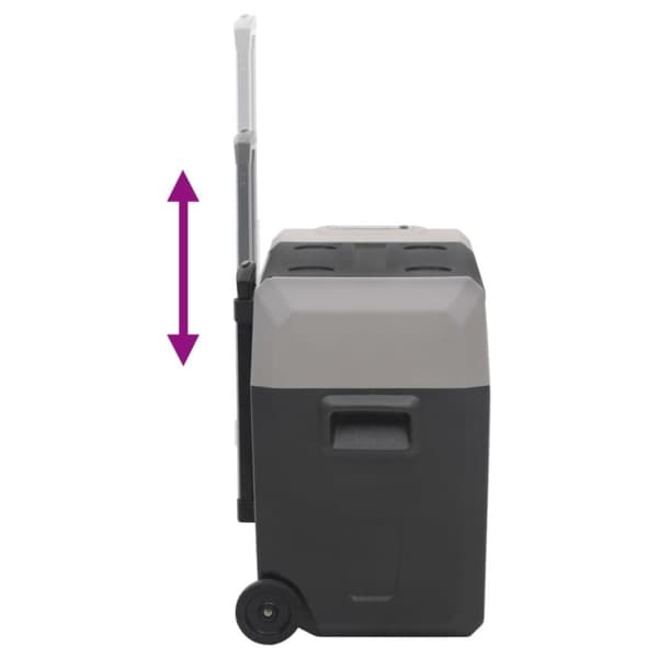 vidaXL Kjøleboks med hjul og adapter svart og grå 40 L polypropylen