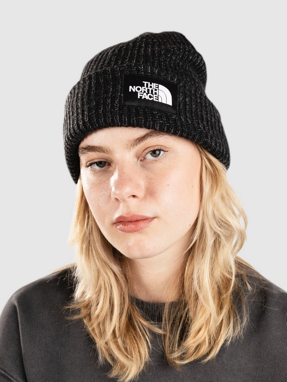 THE NORTH FACE Salty Dog Lined Beanie tnf black