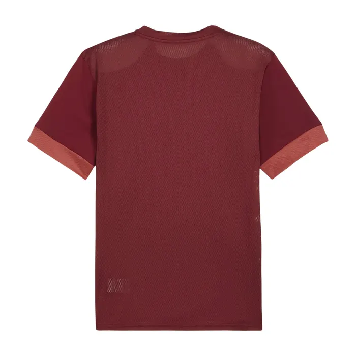 Puma TeamGOAL Matchday Shirt Heren