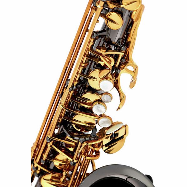 Forestone Alto Sax GX Black Nickel