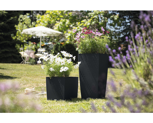Lechuza Cubico Cottage 40 conische zwarte plantenbak inclusief zelfbewateringssysteem