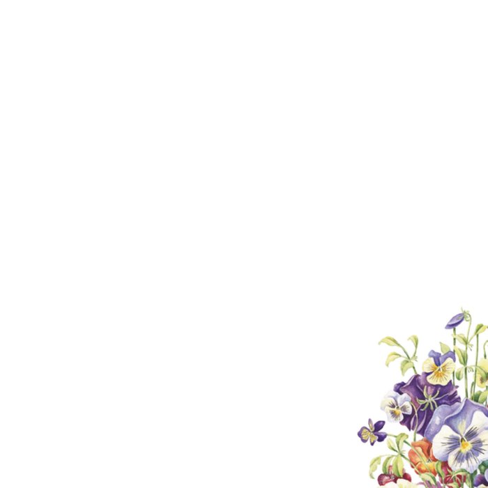 Janneke Brinkman | Beterschapskaart | Bloemen