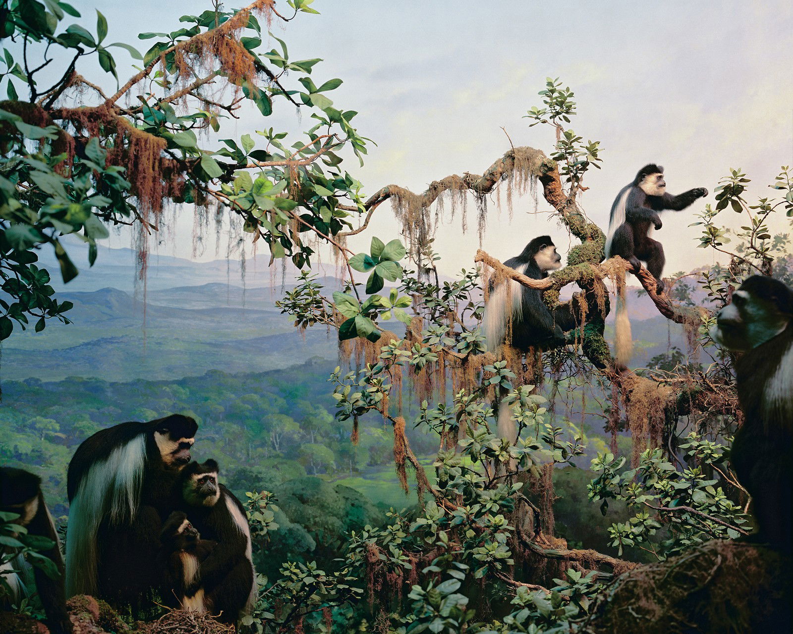 Diorama #5 by Henning Bock - Limited Edition. Edition of: 150. Signed.