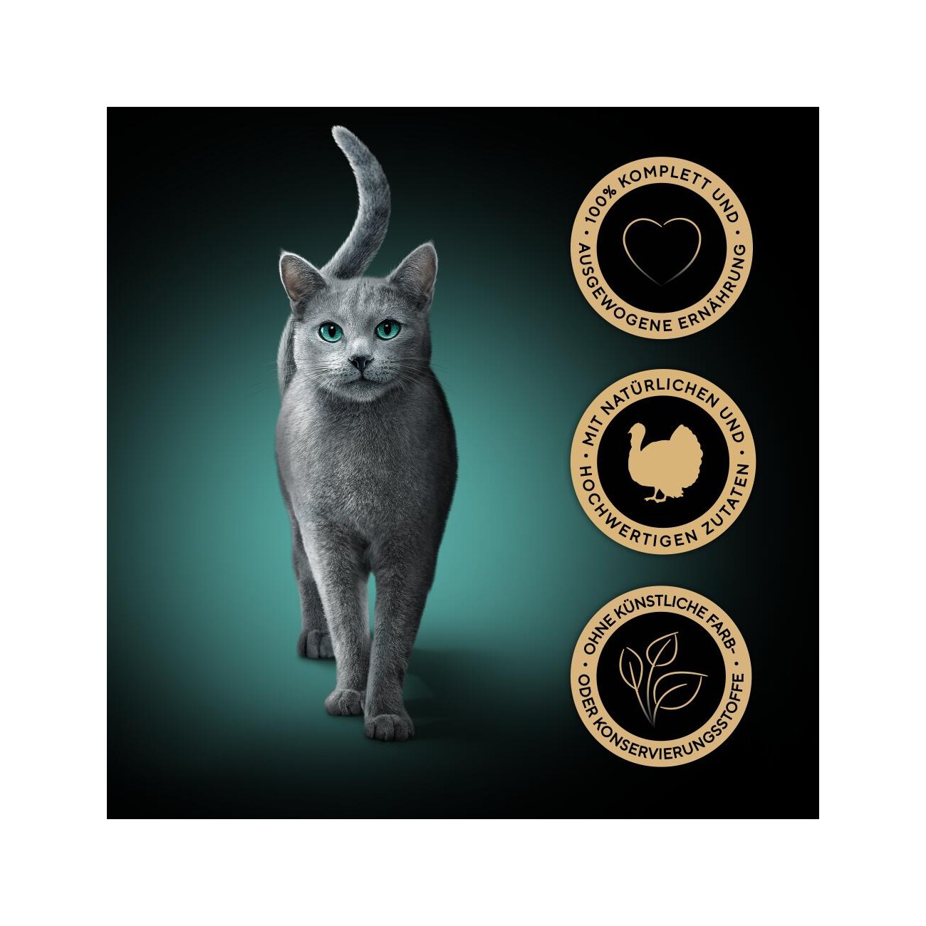 Sheba Perfect Portions Nassfutter Katze, Truthahn in Sauce 6x75 g Truthahn