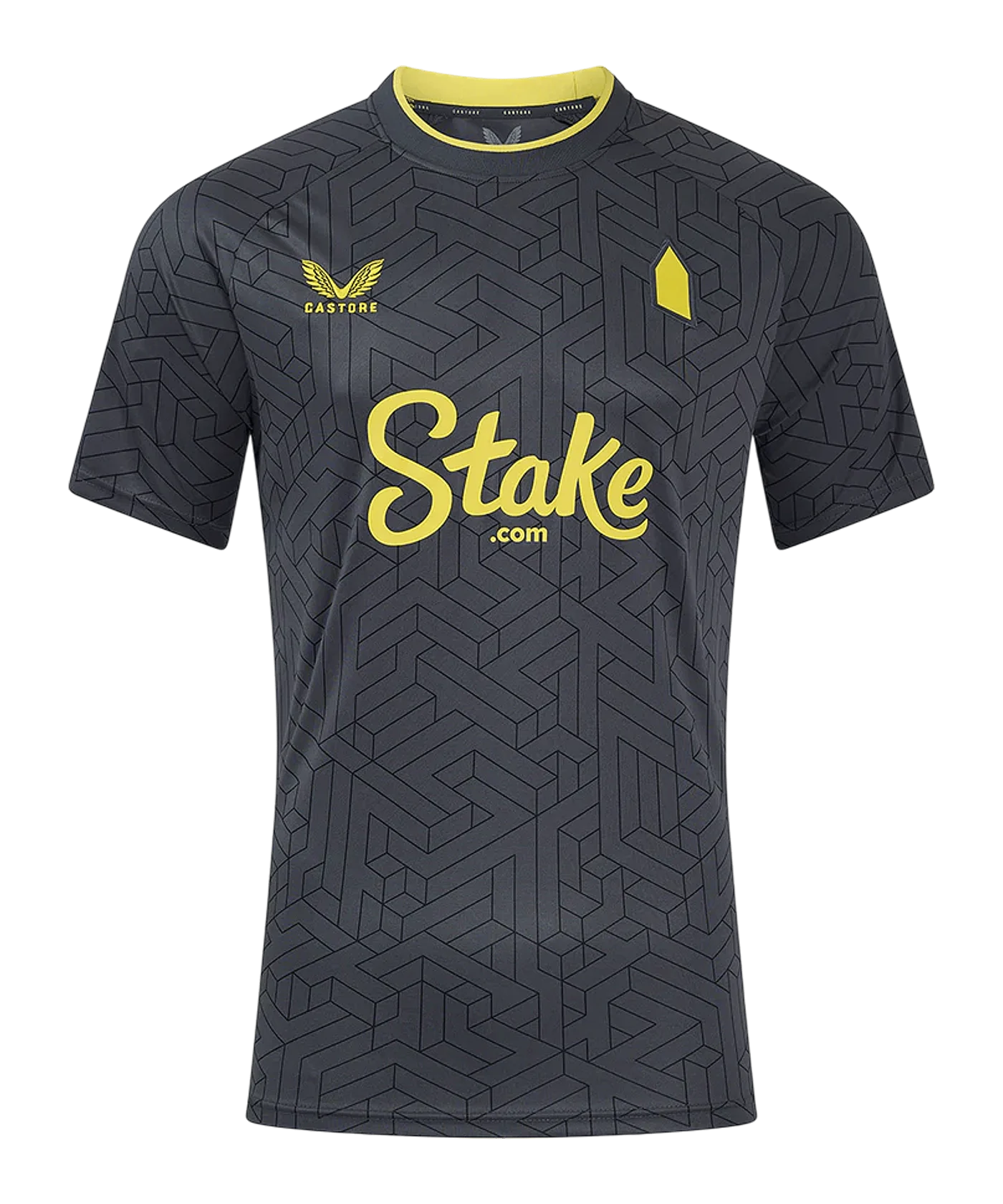 Castore FC Everton Trikot Away 2024/2025 Grau F110