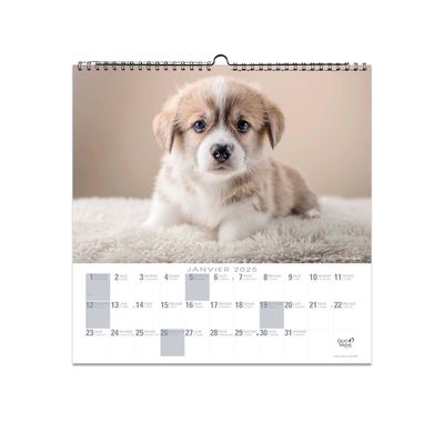 Quo Vadis - Calendrier à feuilles Animaux - 30 x 30 cm