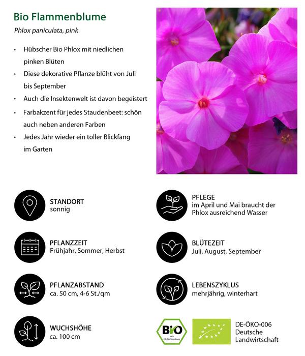 Bio Stauden-Set Alte Liebe, Landlust