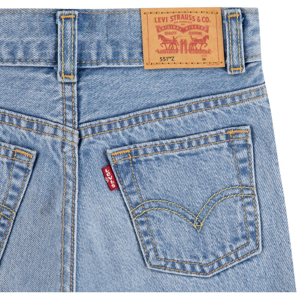 Køb Levi's From Scratch No Destruction Lvb Skate Shorts