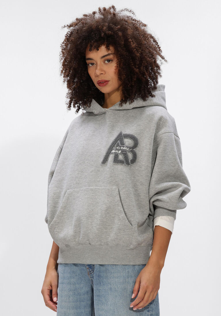grijze anine bing truien/vesten jaci hoodie letterman