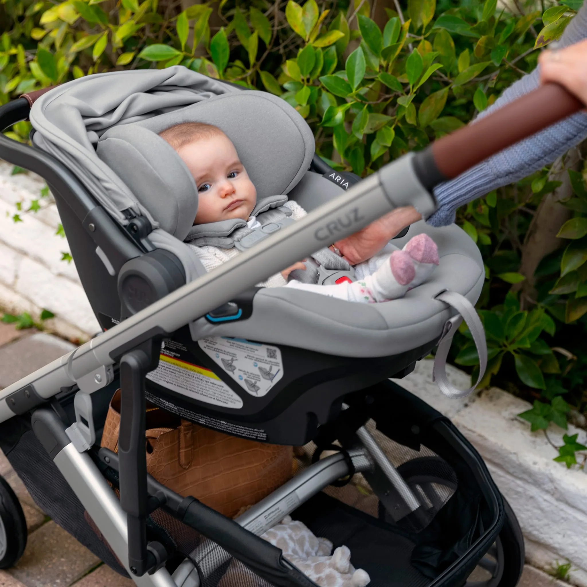 UPPAbaby Siège d'Auto Aria - Anthony