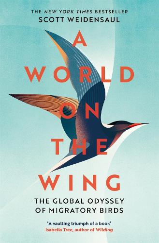 A World on the Wing: The Global Odyssey of Migratory Birds (Paperback)