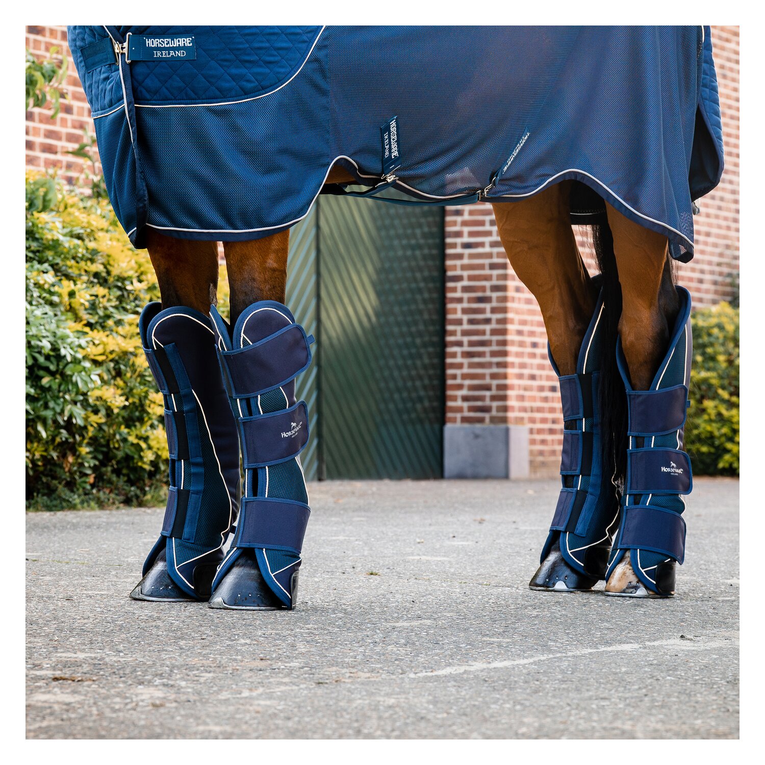 HORSEWARE Signature Transportgamaschen  - navy