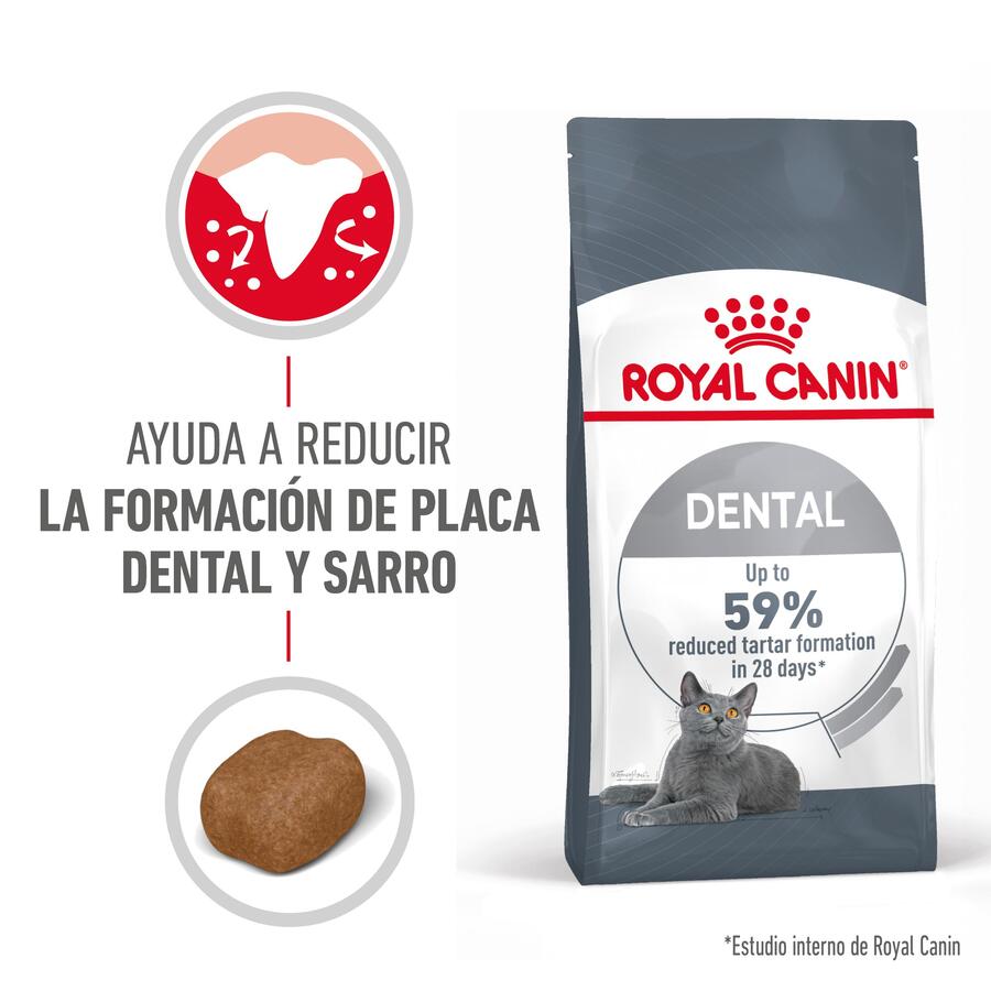 Ração oral Royal Canin Adult para gatos