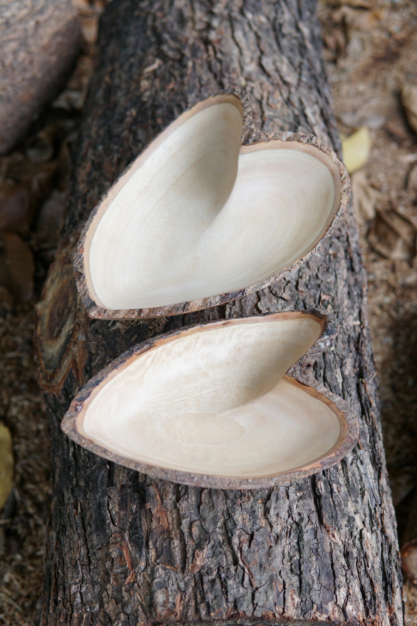 Schale in Herzform, groß, 'Mangoholz', natur, T 30 cm, B 23 cm, H 7 cm von fischer's lagerhaus