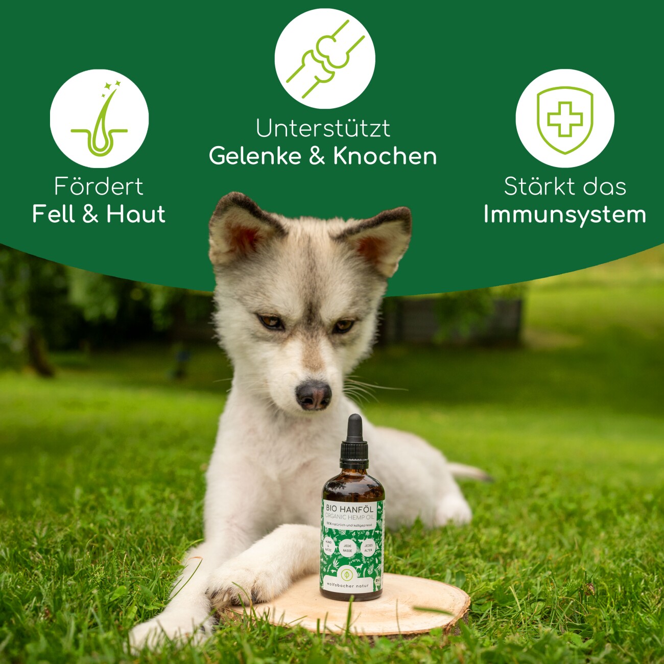 Wolfsbacher Natur Futteröl Set 3 x 100ml