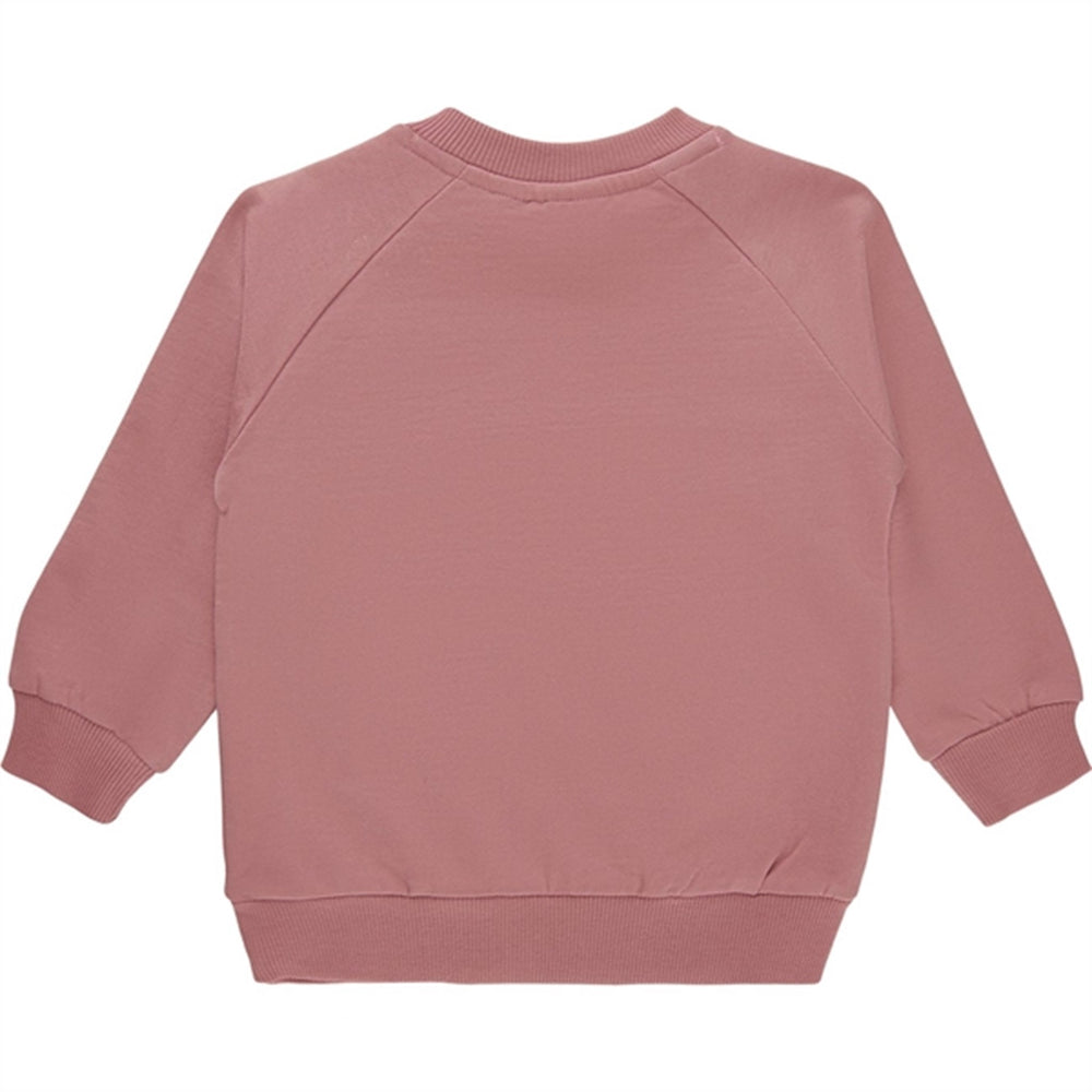 Køb THE NEW Siblings Nostalgia Rose Tweety Sweatshirt