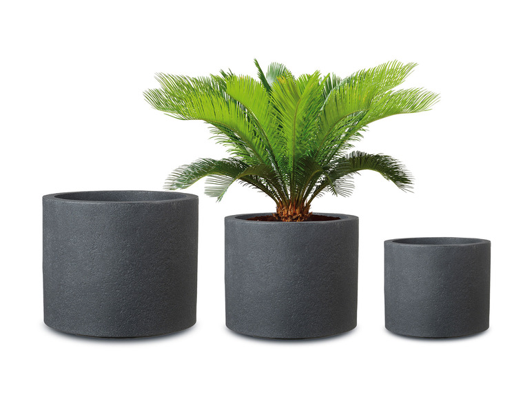 Plantenbak