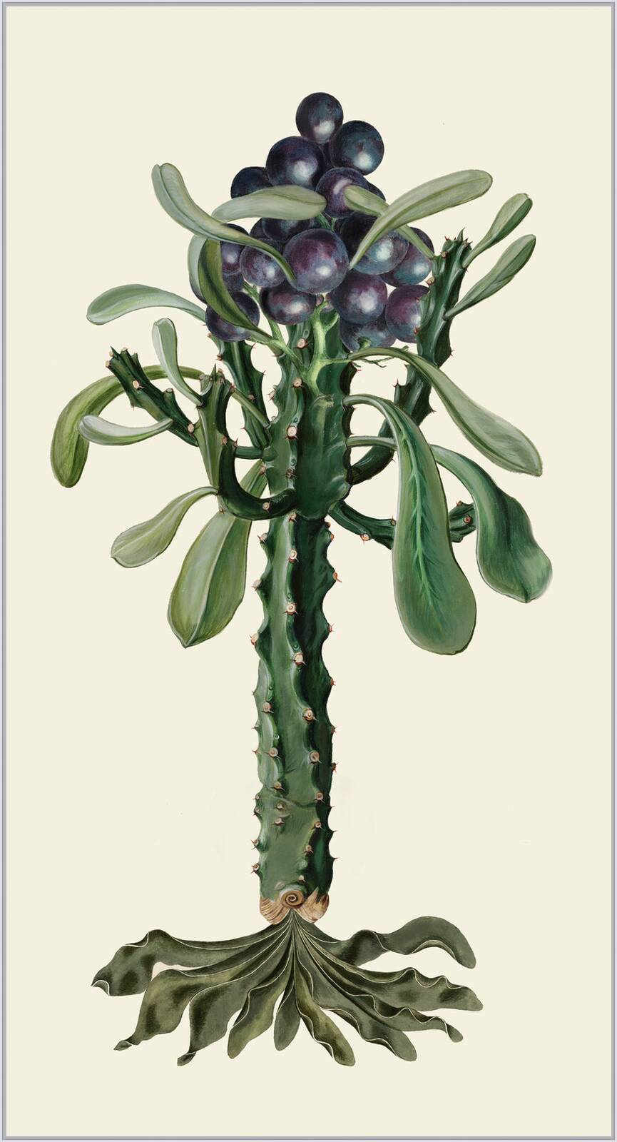 Vitiscactus by Rive Roshan - Limited Edition. Edition of: 150. Signed.